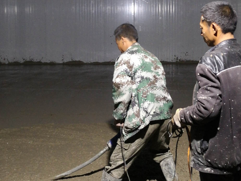 我們都是勤勞勇敢的飛來峰人